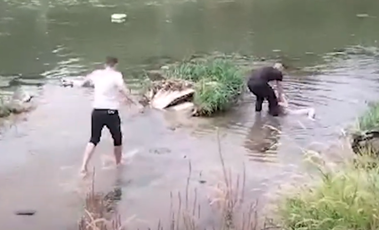 (Видео) Жена се фрли во Вардар – полицијата ја спаси