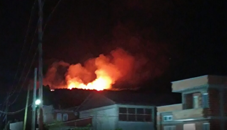 Пожар во скопско Морани, Ангелов вели пожарите ги предивикуваат дрвокрадците