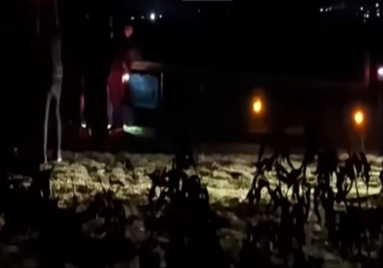 (ВИДЕО) Први снимки од местото каде попладнево беше пронајден убиениот Тетовец