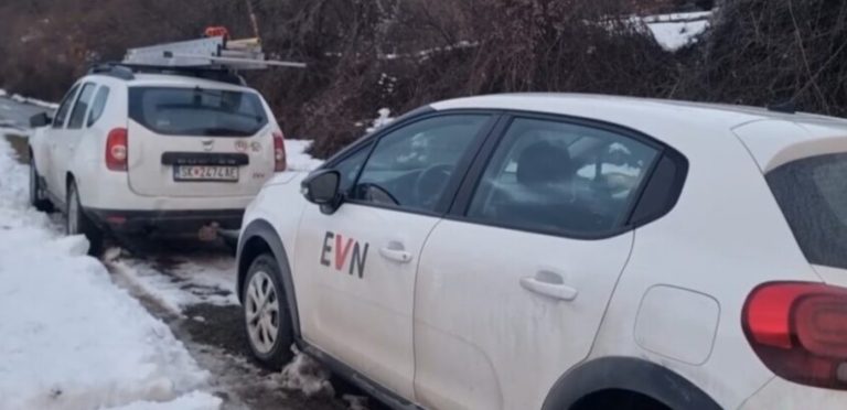 Проблеми со електричната енергија во овие делови од Македонија – екипи на ЕВН на терен